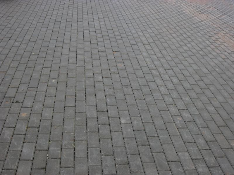 Тротуарная плитка Прямоугольник Б.2.П.8 (200х100х80)  - СЕРЫЙ - Гладкий 80 мм